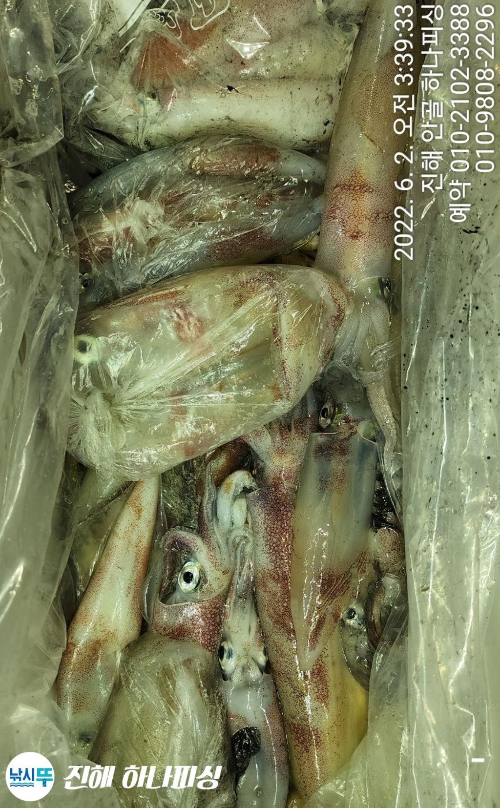 F1699614GV.jpg