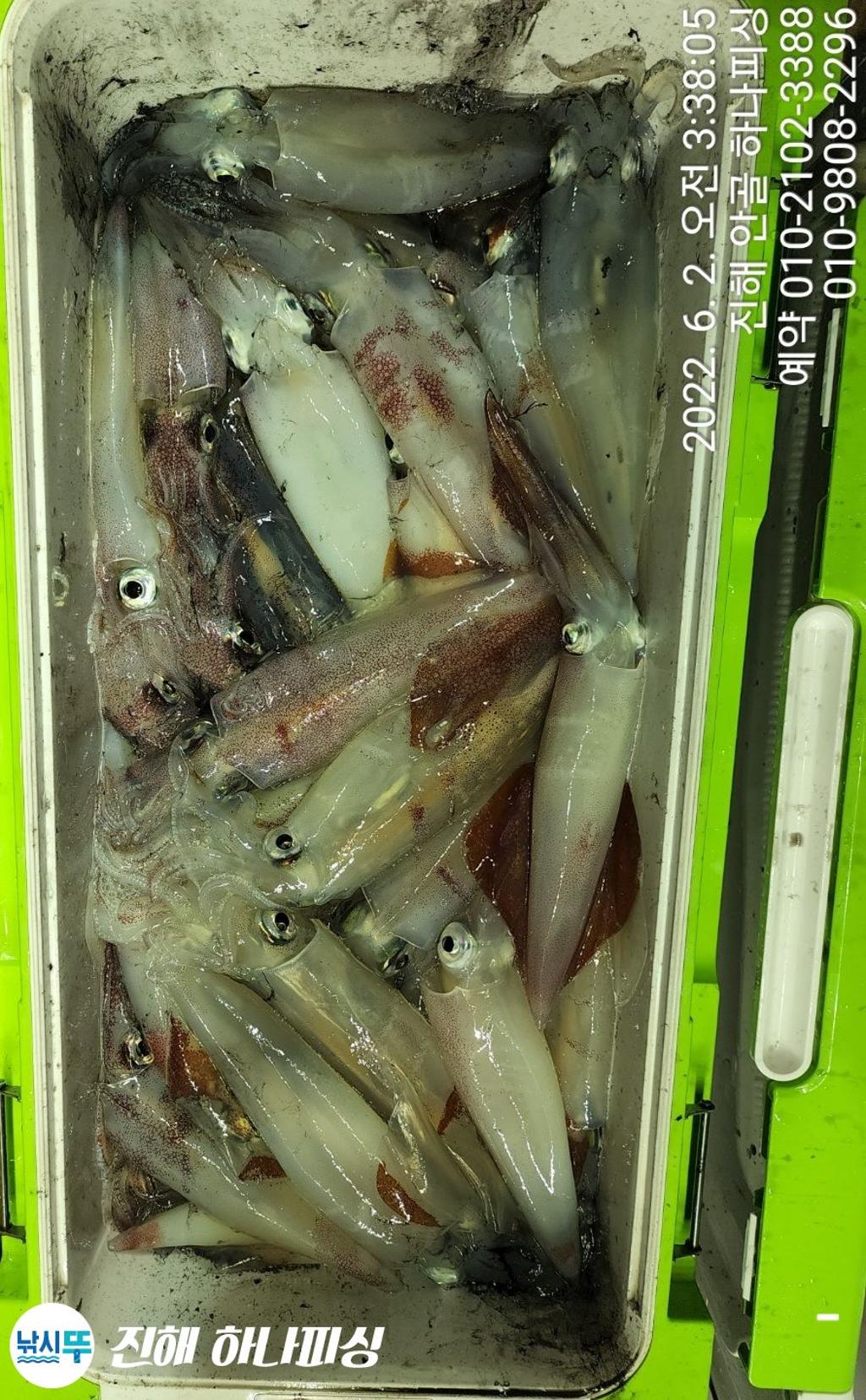 F1699626YL.jpg
