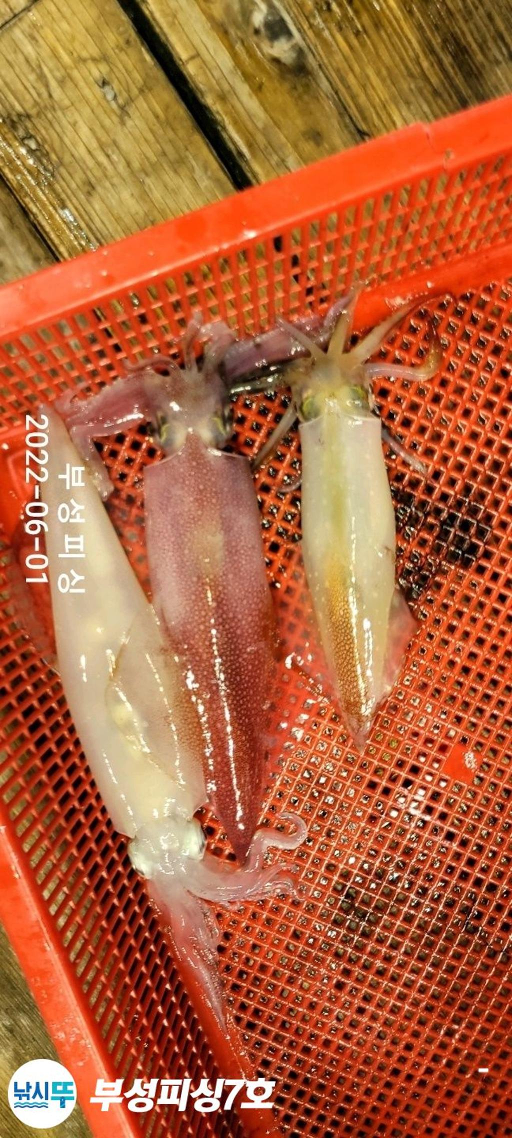 F1698090GH.jpg