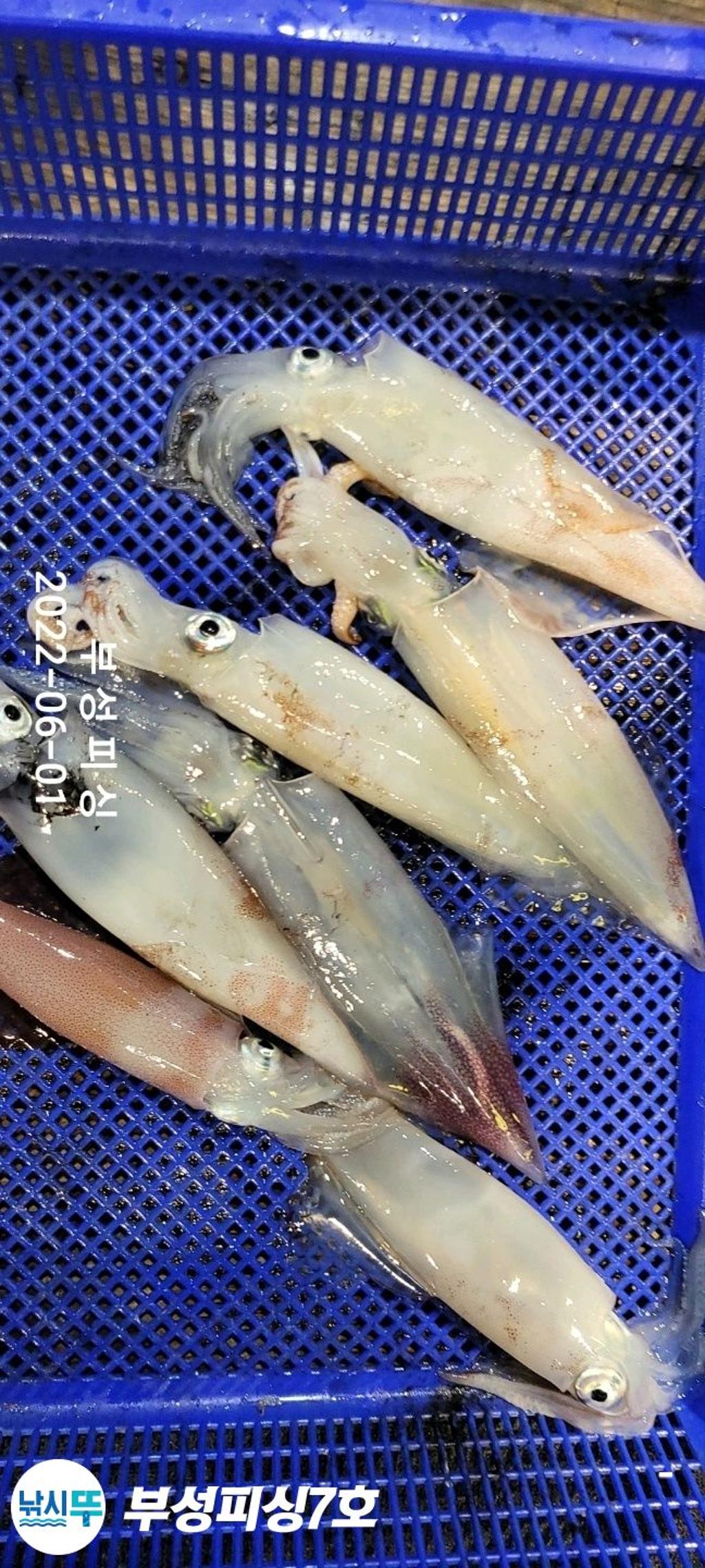 F1698092CM.jpg
