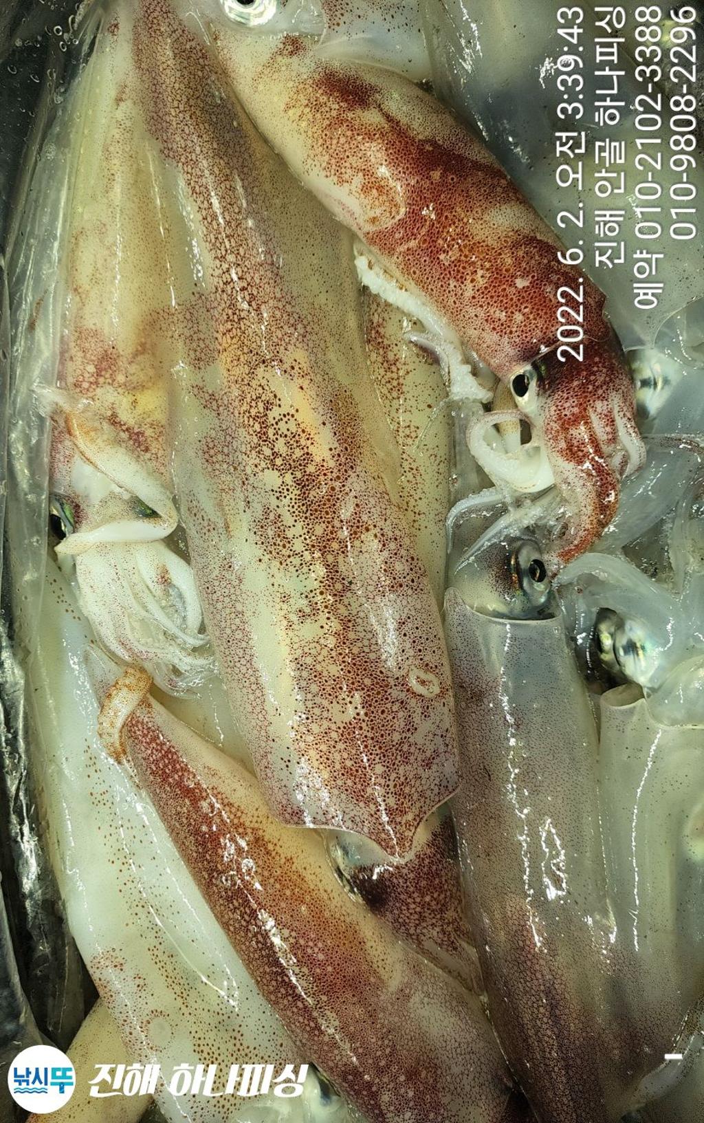 F1702757Q1.jpg