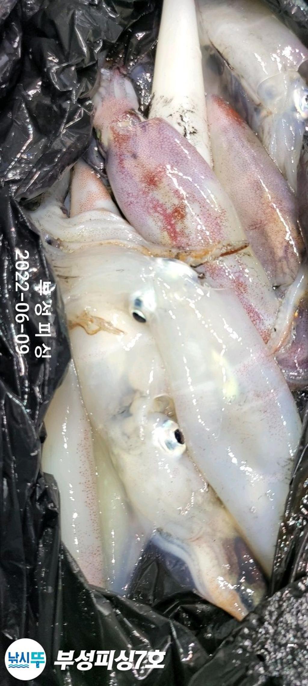 F1703285SG.jpg