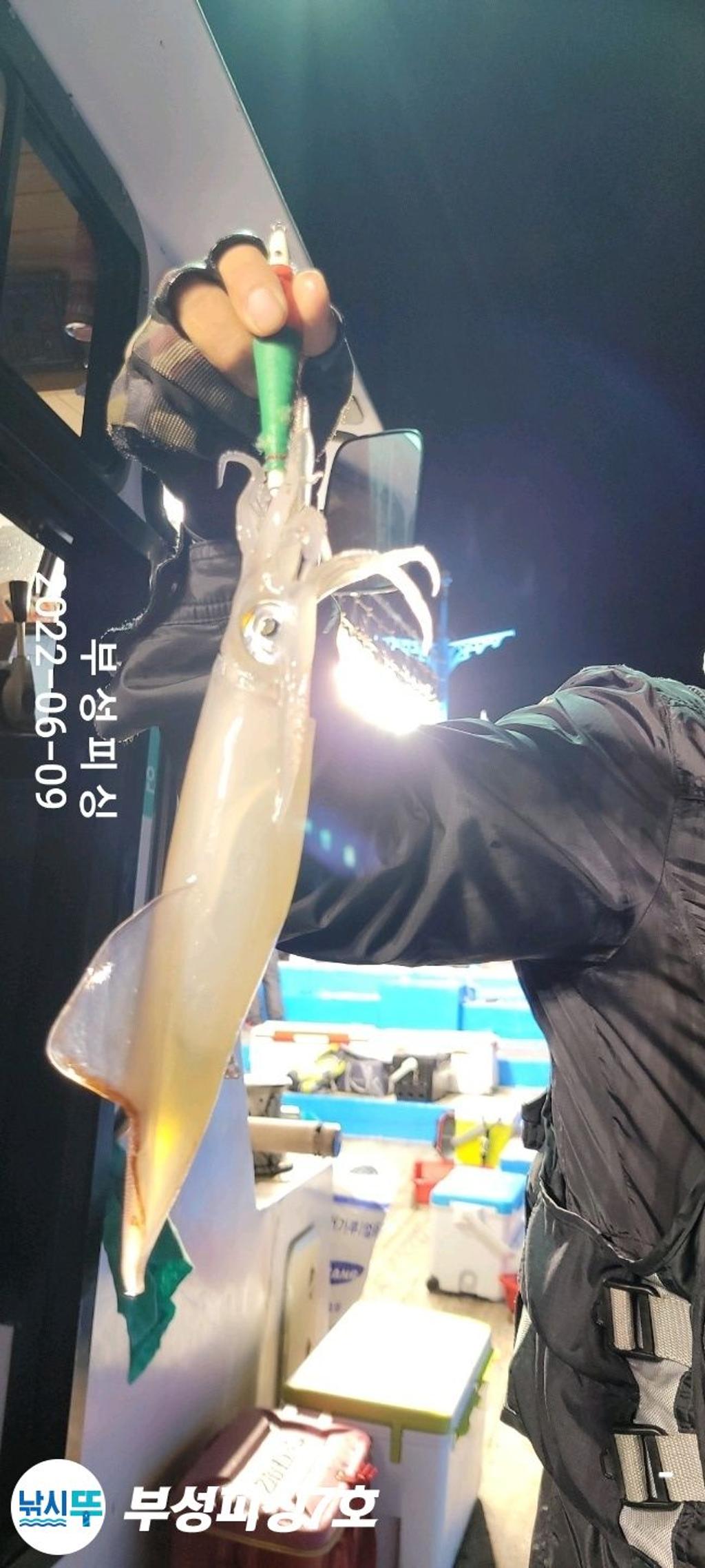 F1703302HQ.jpg