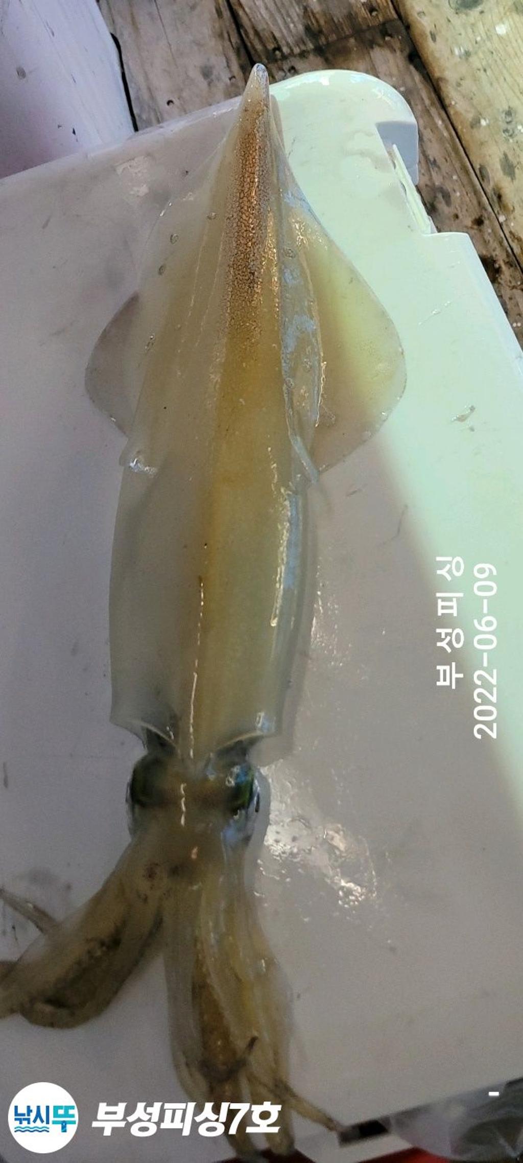 F17033115M.jpg