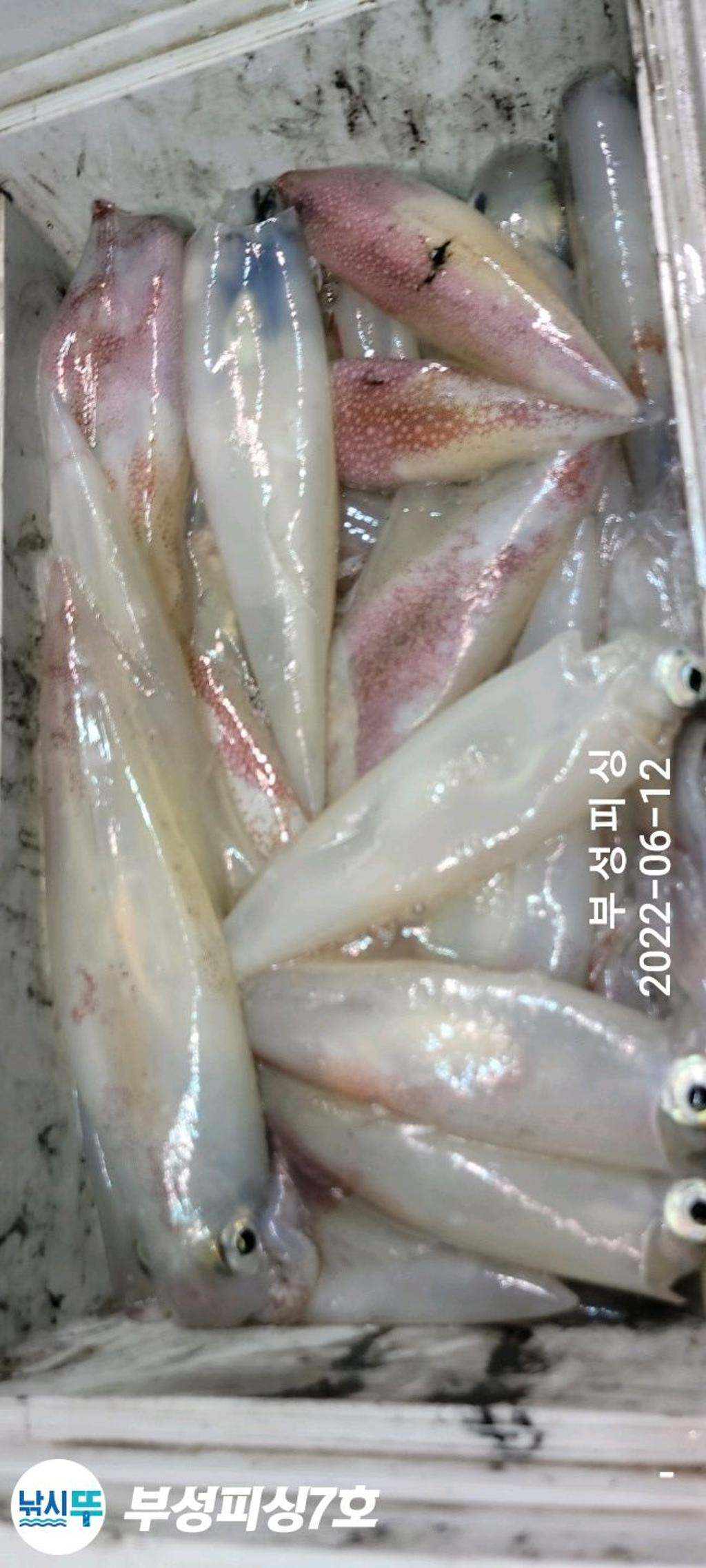 F1707342OO.jpg