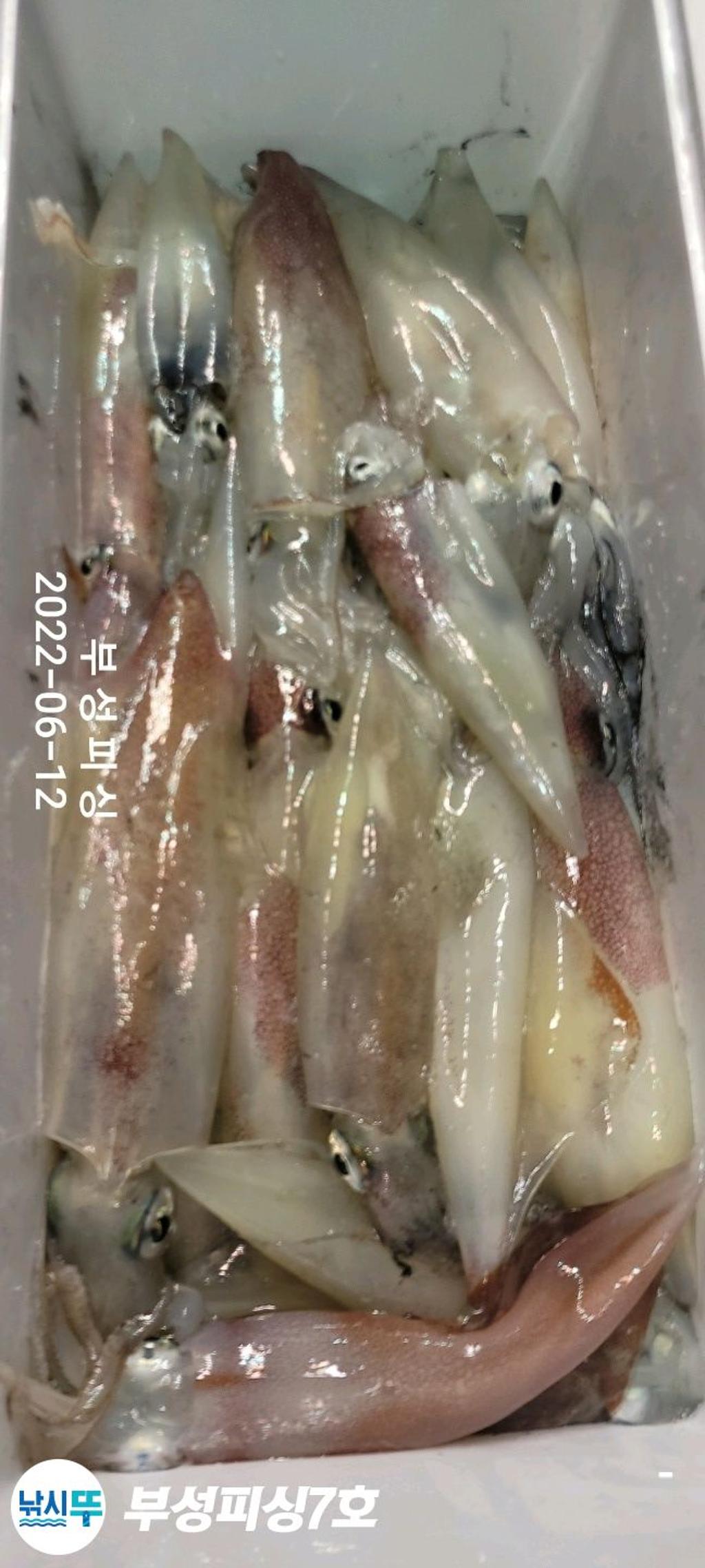 F1707344HI.jpg