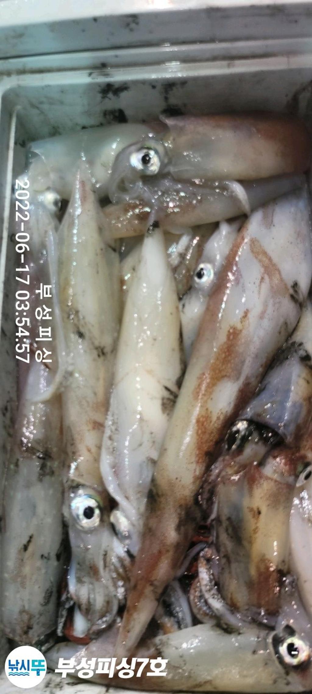 F171086892.jpg