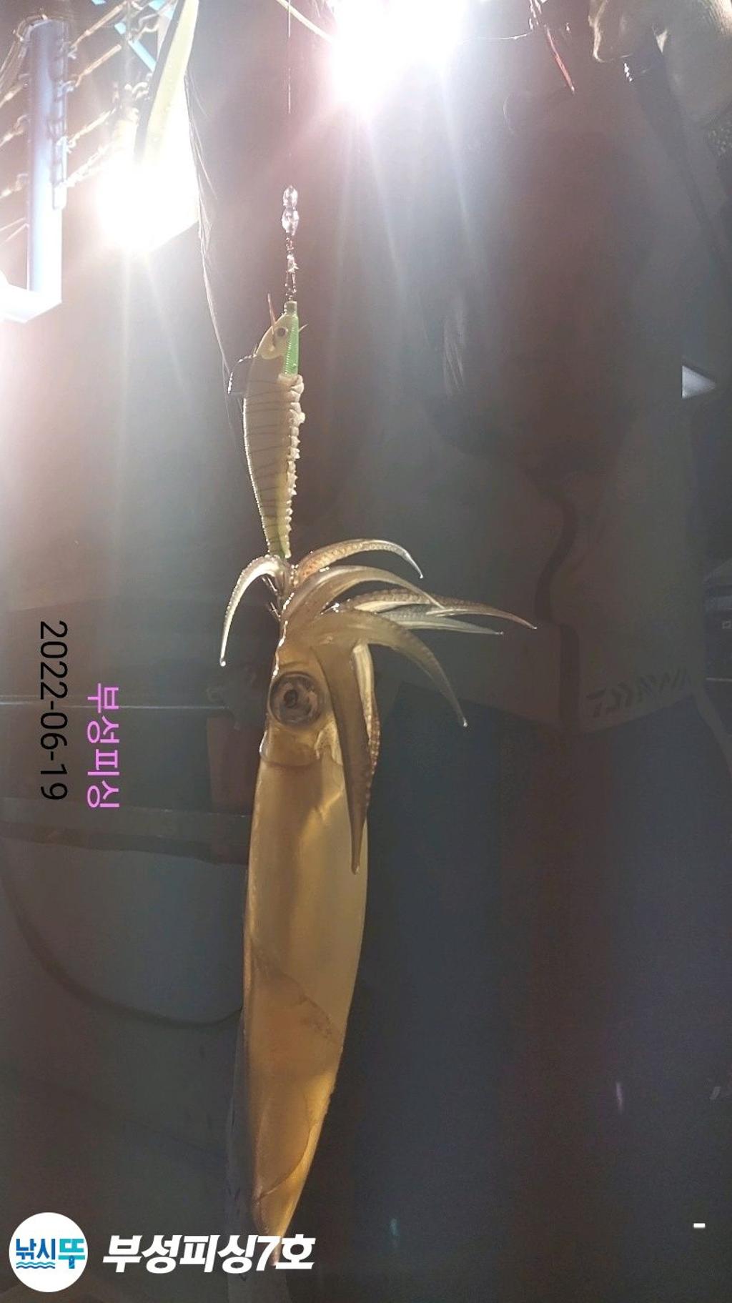 F17155087Q.jpg