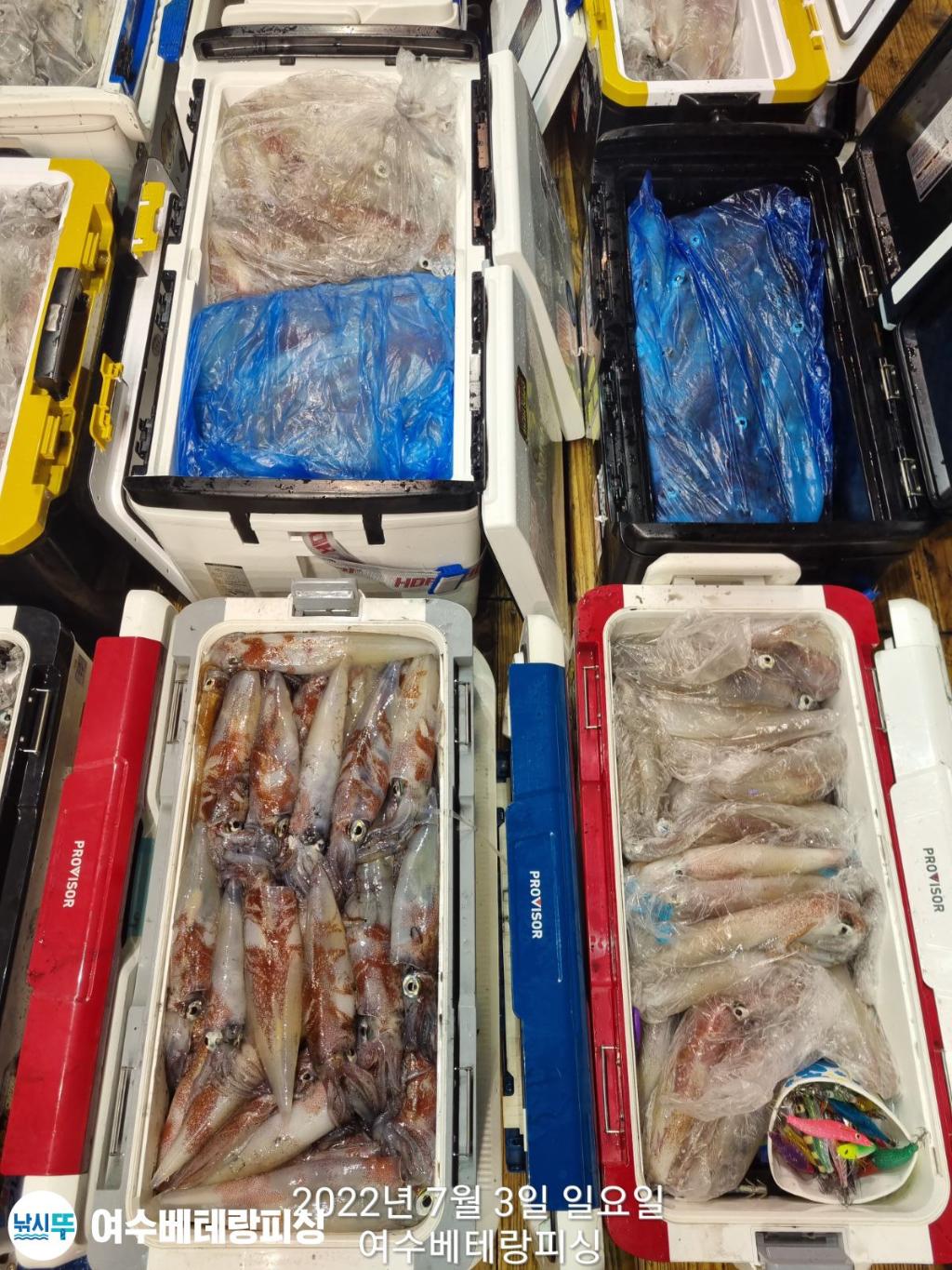 F1729830CI.jpg