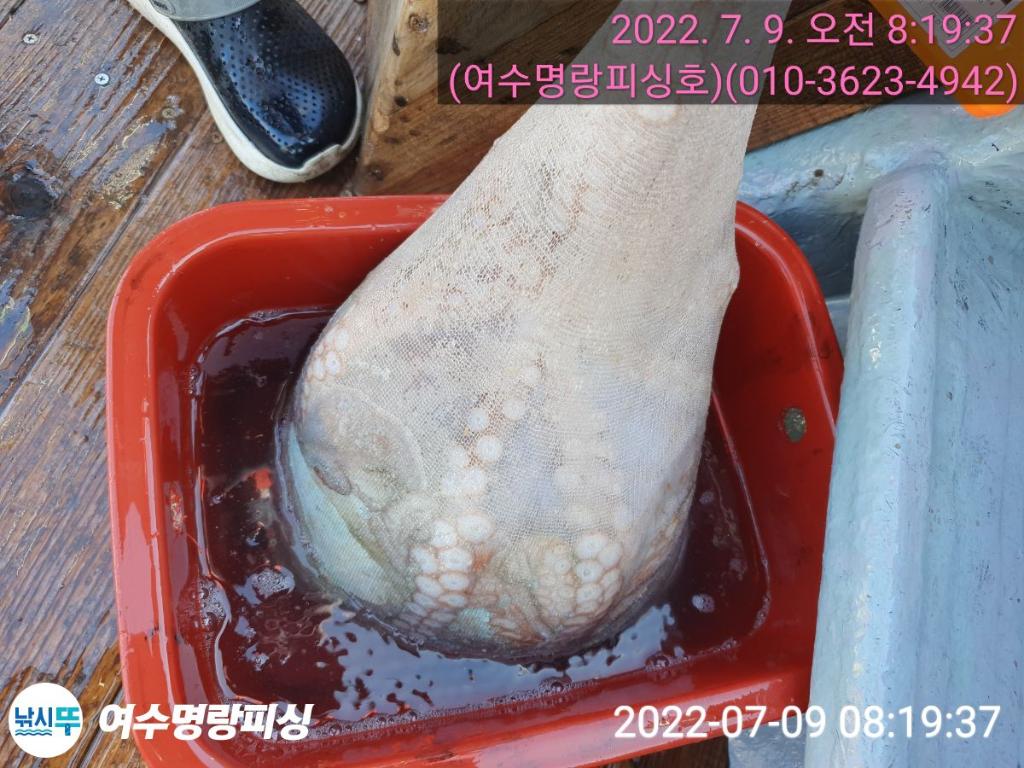 F17349269Q.jpg