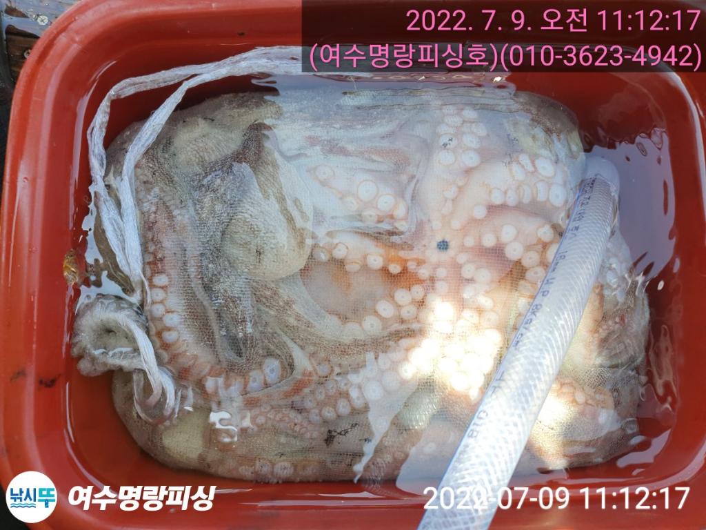 F17349285Q.jpg