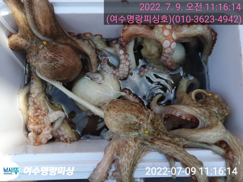 F1734931MA.jpg