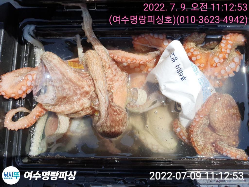 F1734934SH.jpg