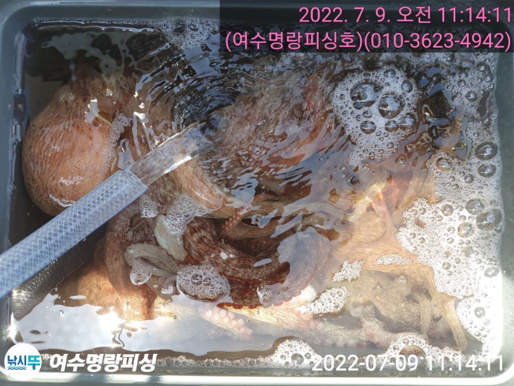 F1734935RS.jpg