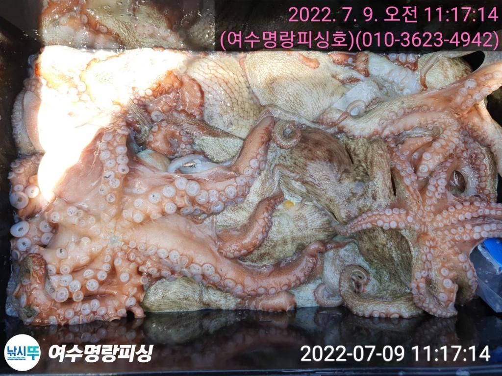 F1734939HH.jpg