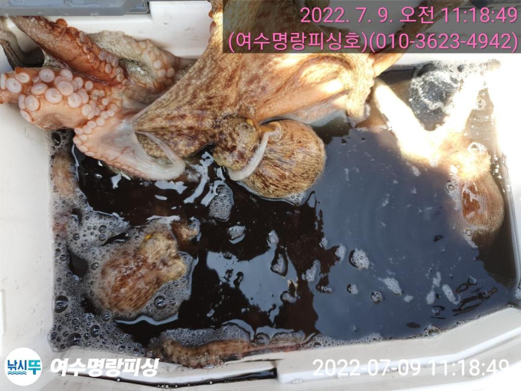 F17349445X.jpg