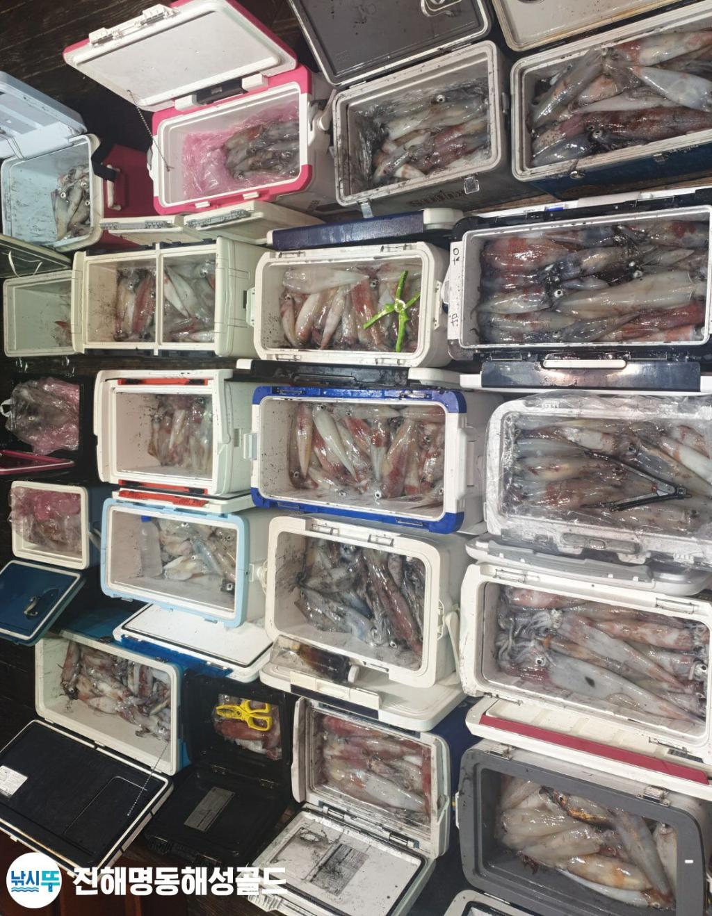 F1735441H7.jpg