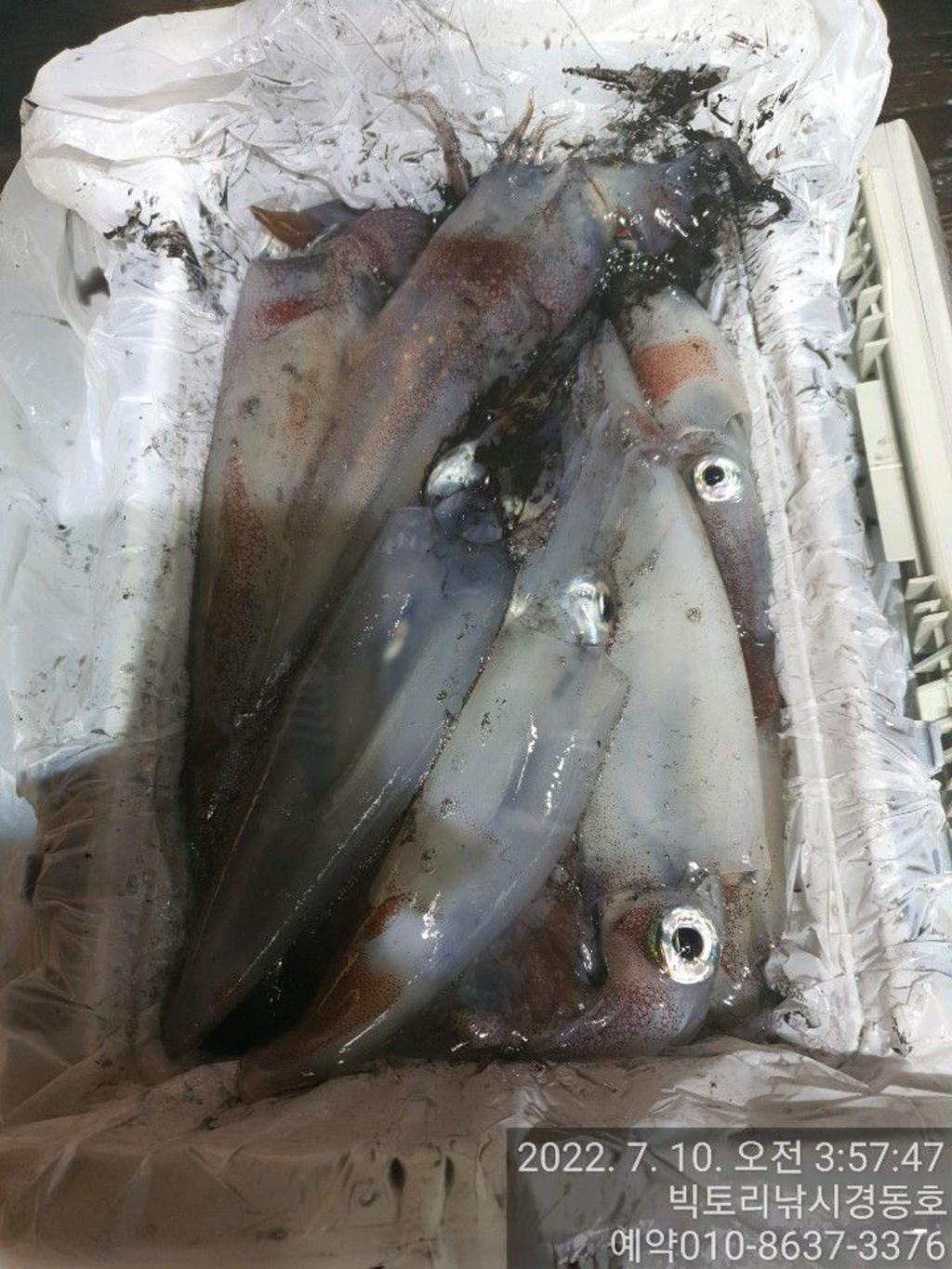 F17367058E.jpg