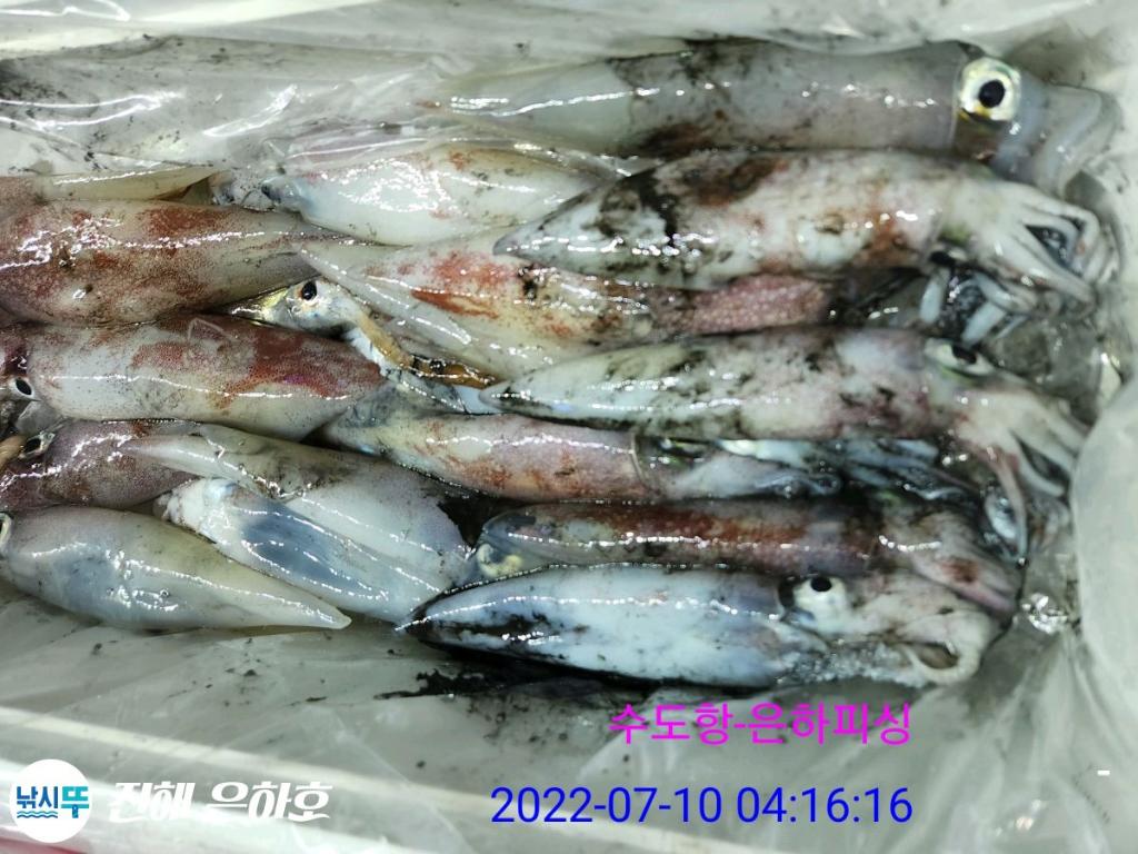 F17367251F.jpg