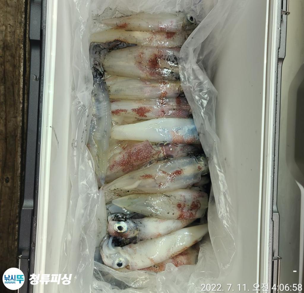 왕한치, 갱구 아부지가 주시는 만큼~