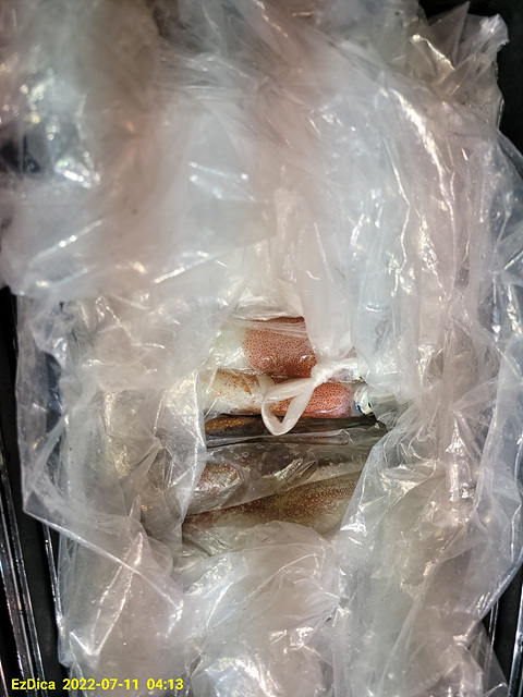 F1739196D5.jpg
