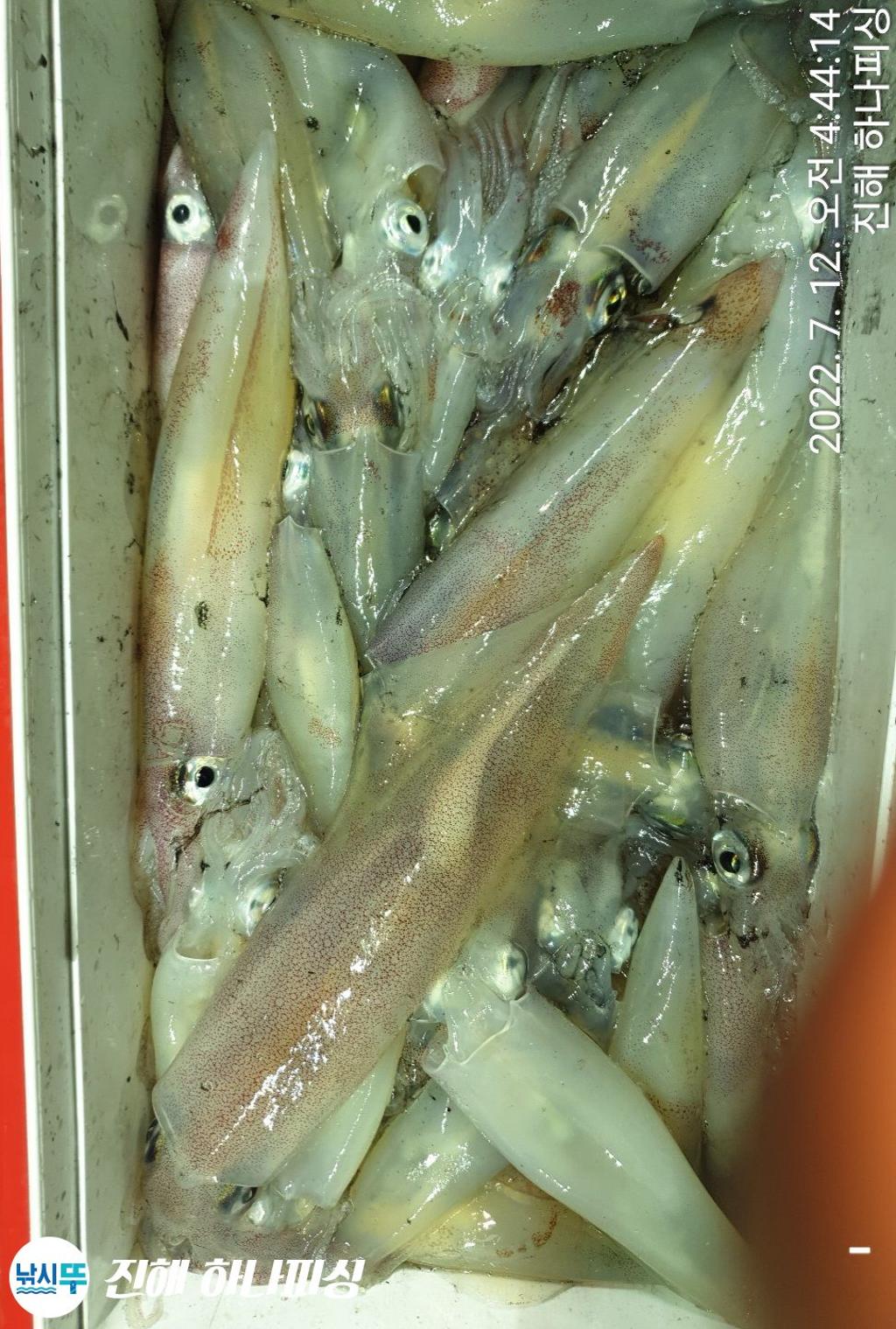 F1740555P1.jpg