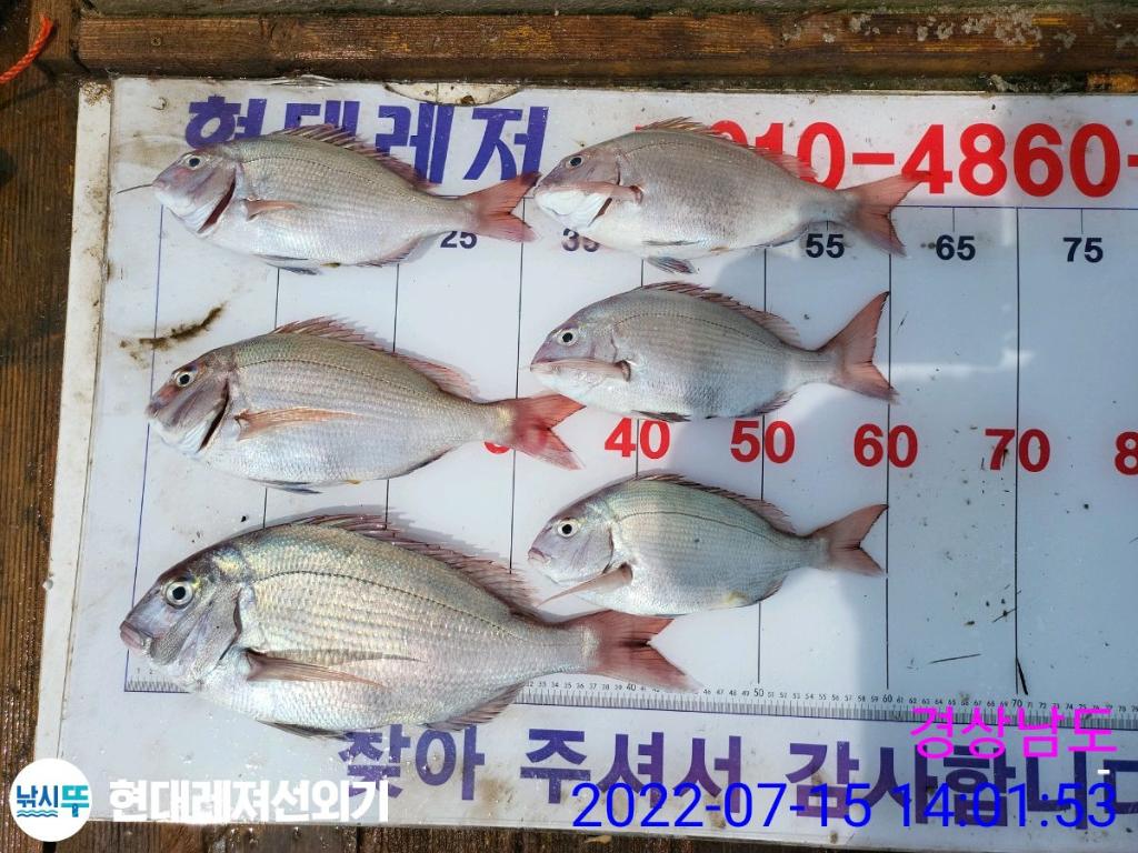 F1743619JI.jpg