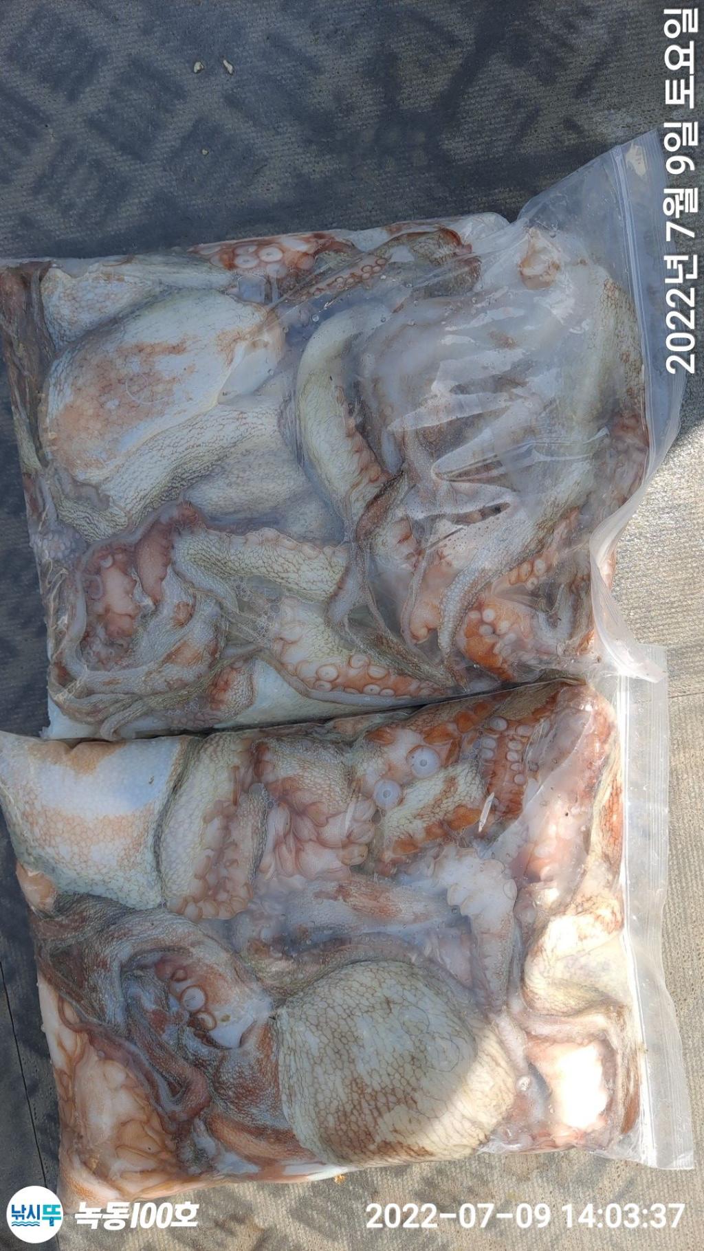 F174839148.jpg