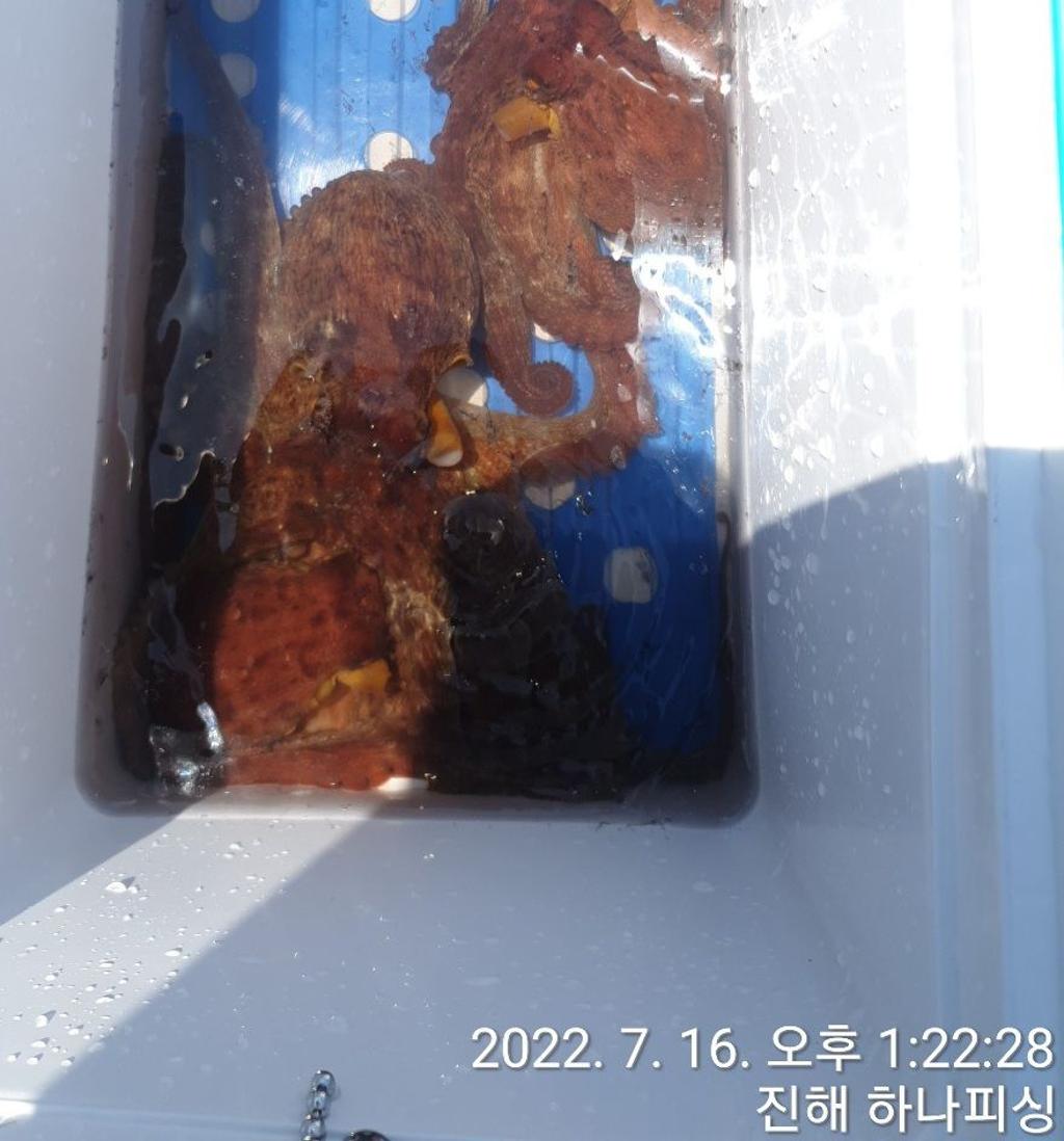 F1749679SL.jpg