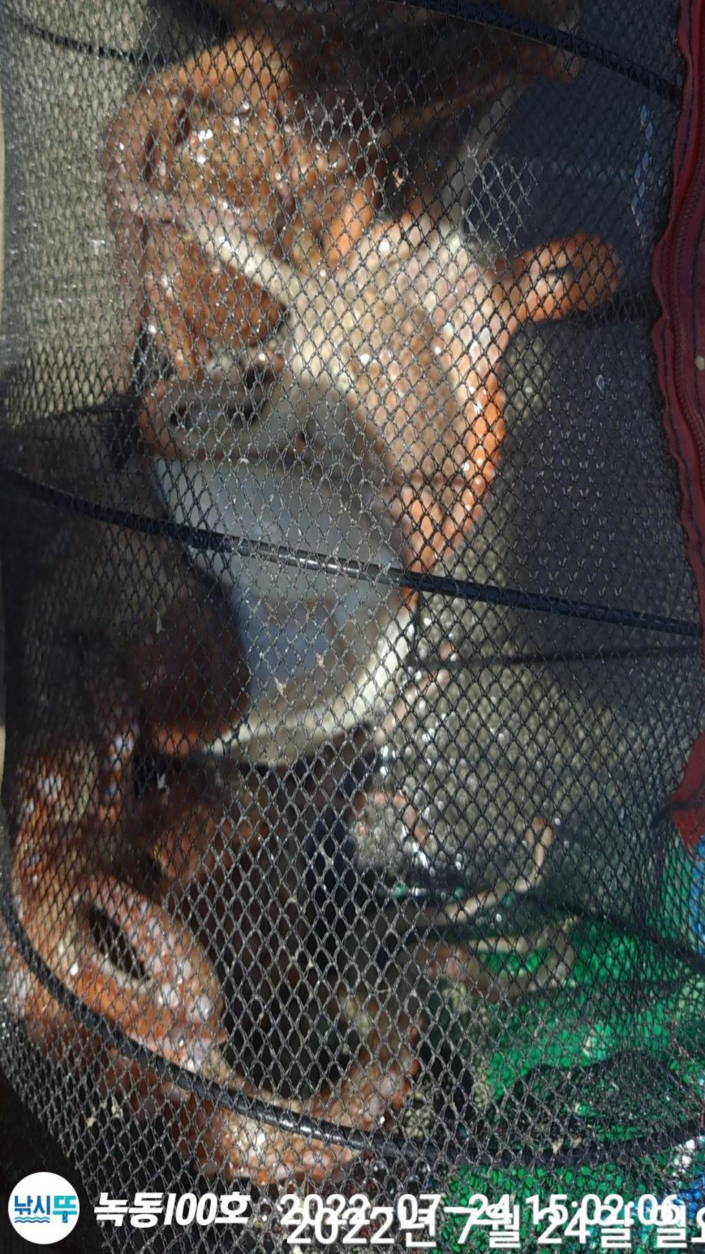 F1751360RC.jpg