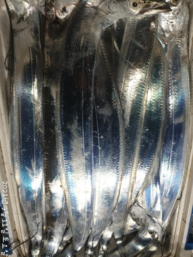 F175313008.jpg