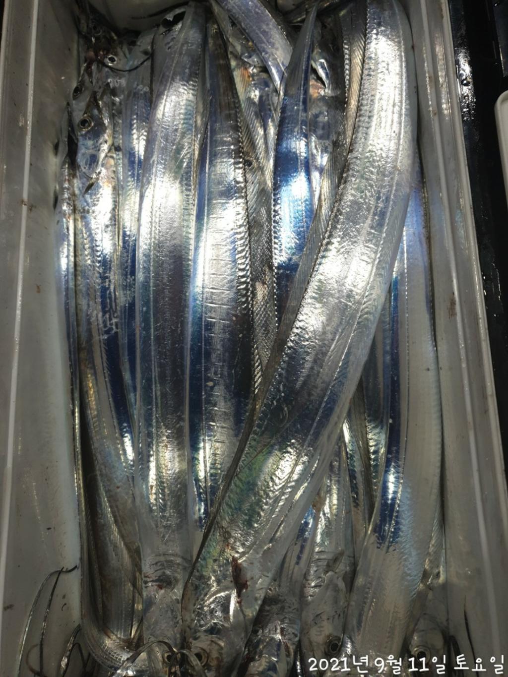 F1753132WB.jpg
