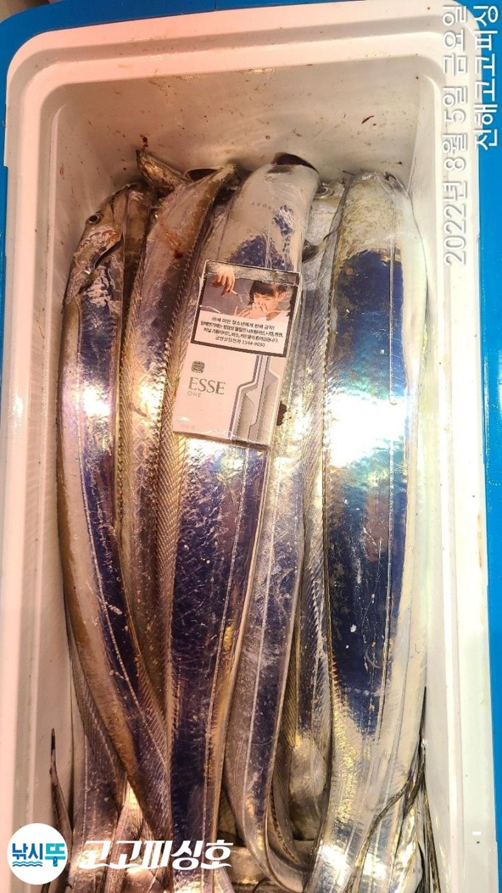F1762917LN.jpg