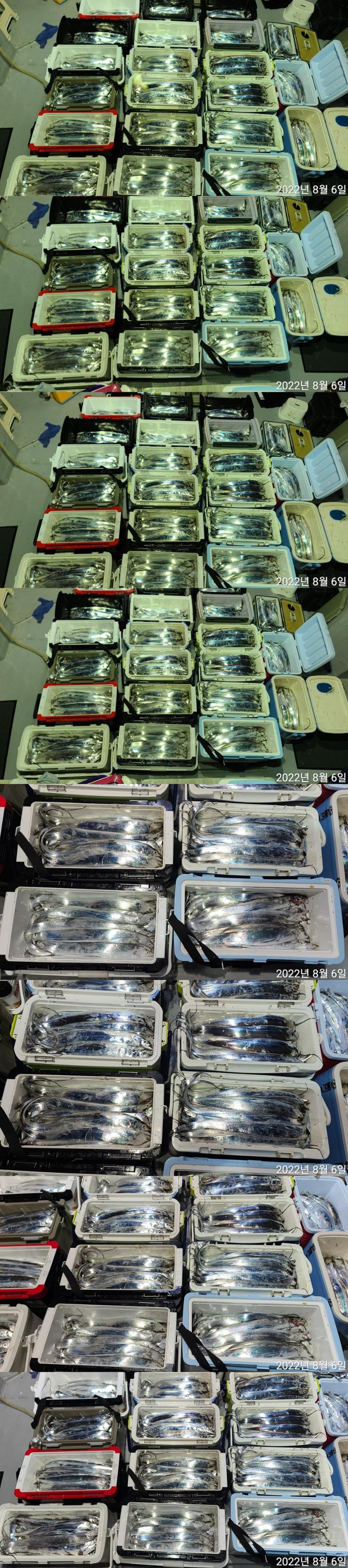 F1765961IN.jpg