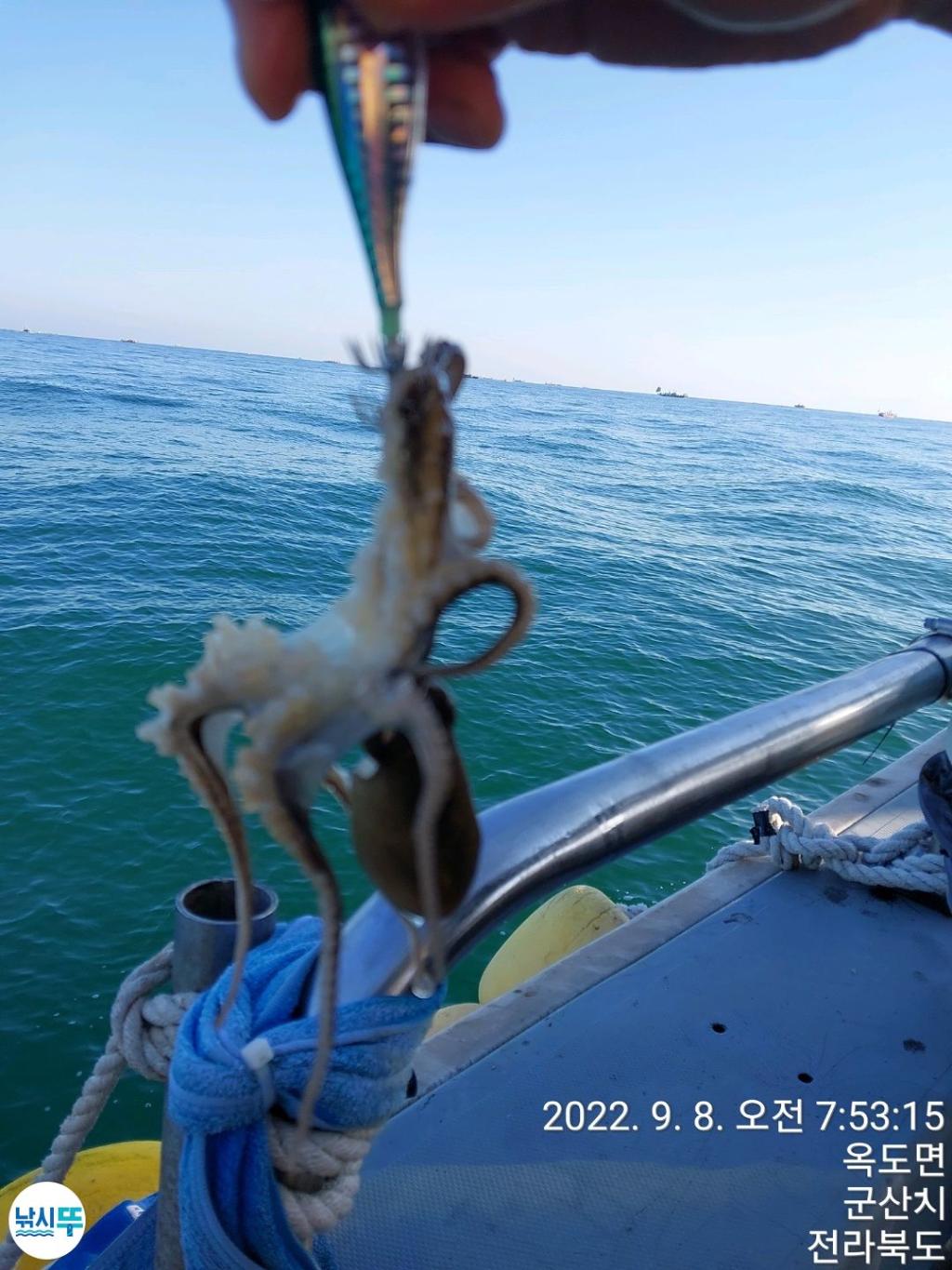 F1810612QE.jpg