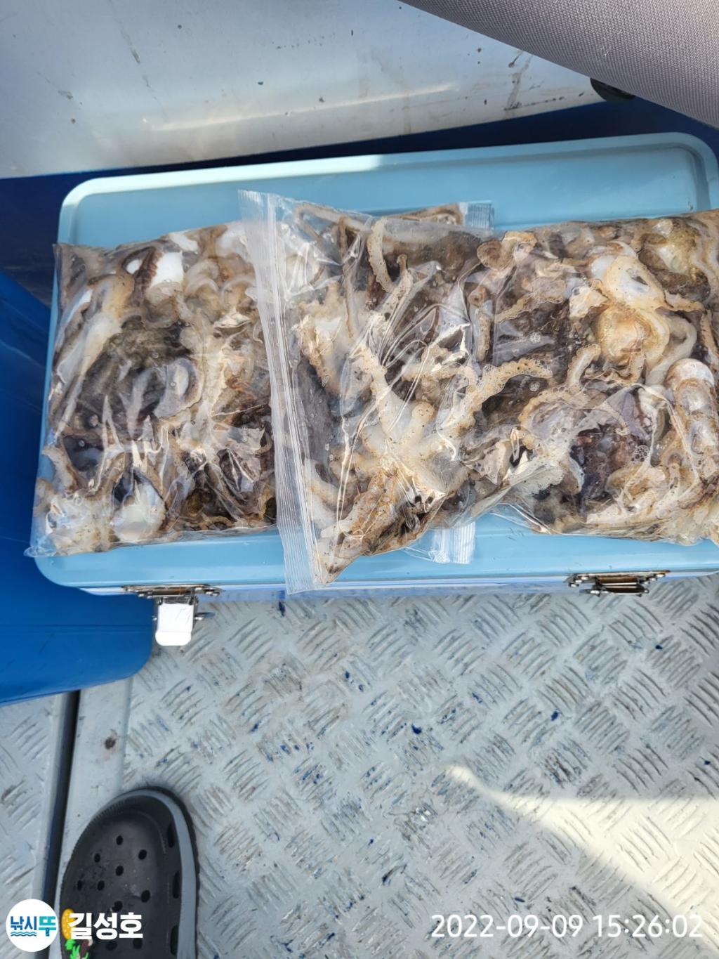 F1811269XY.jpg