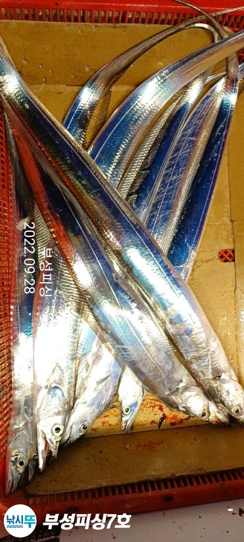 F183563596.jpg