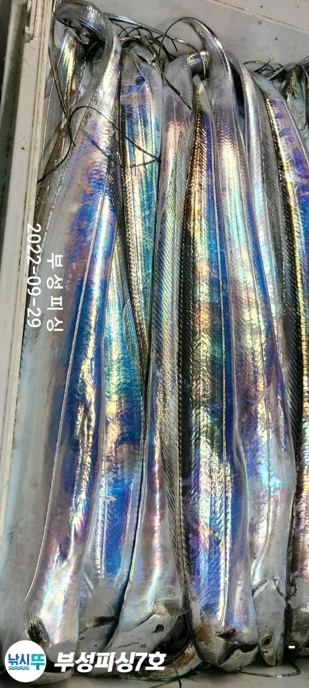 F1835639L7.jpg