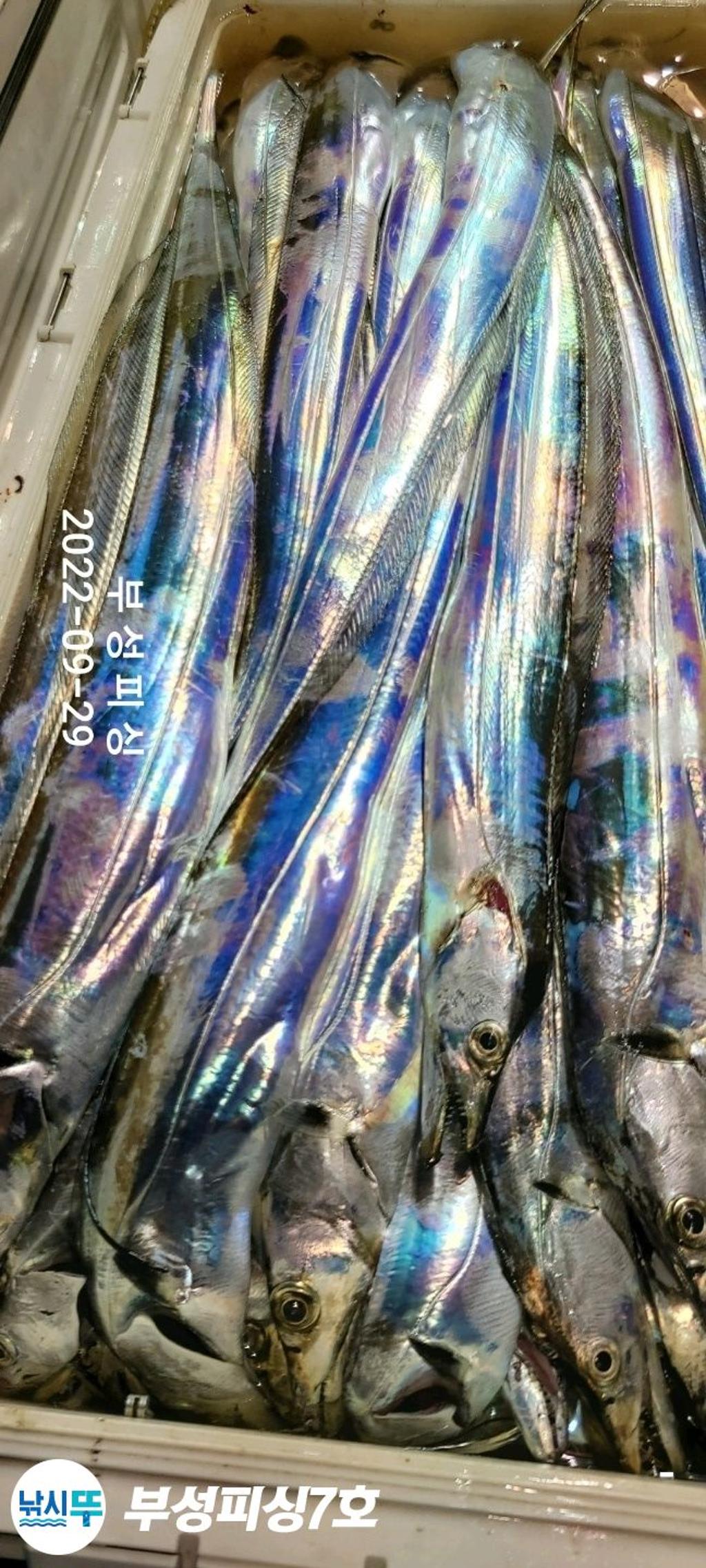 F1835640OA.jpg