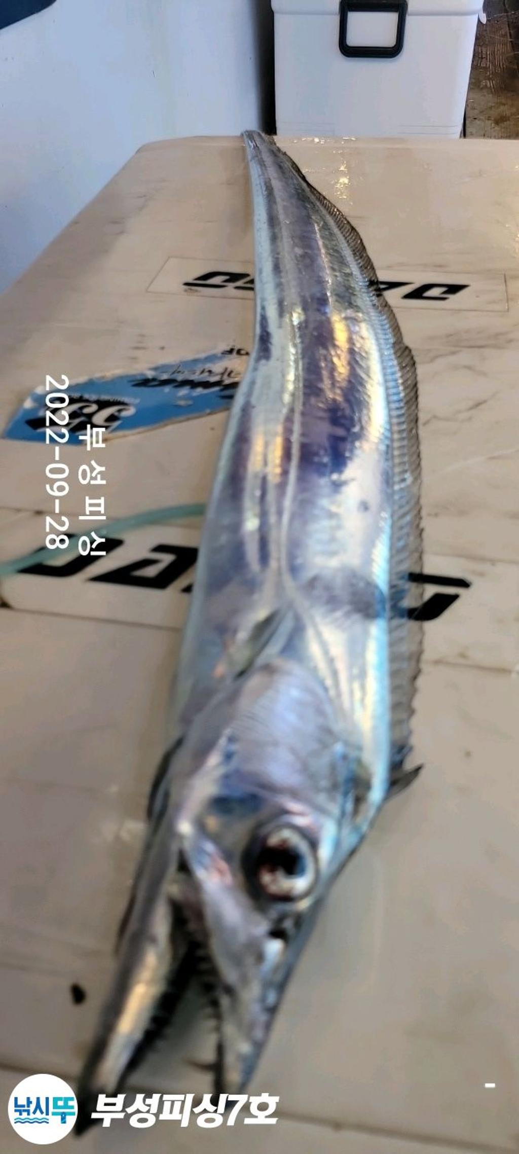 F1835642Z0.jpg
