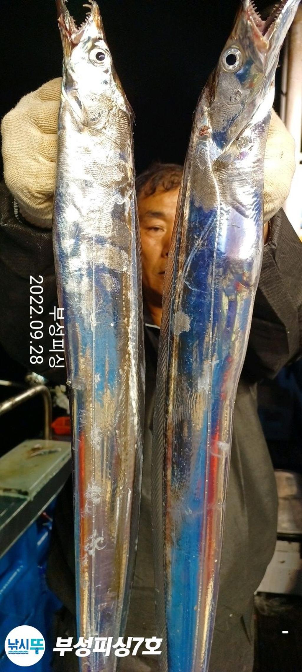 F1835650HU.jpg