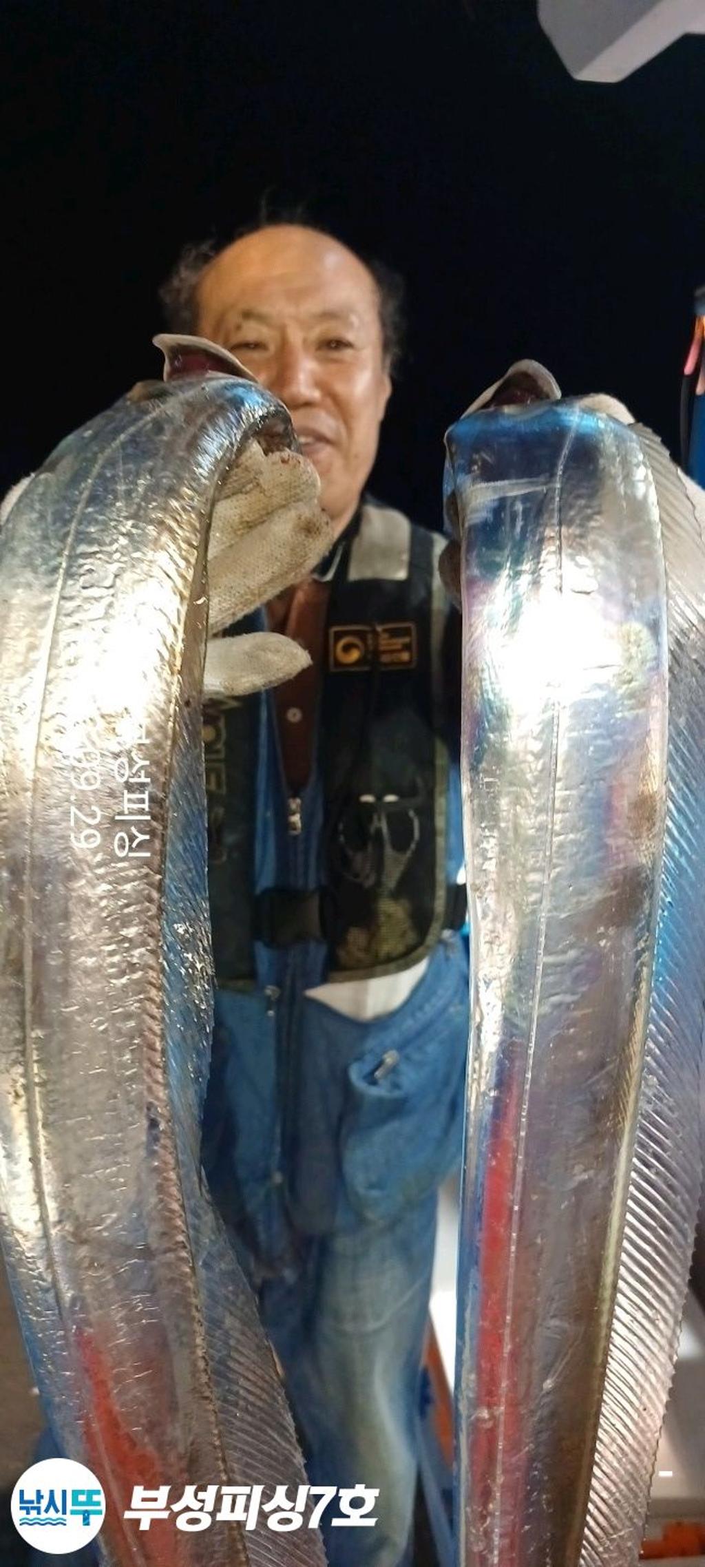 F18356513D.jpg