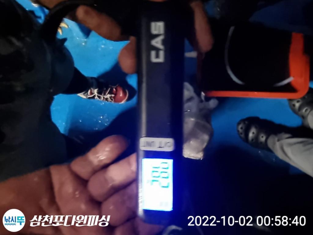 F1842580J6.jpg