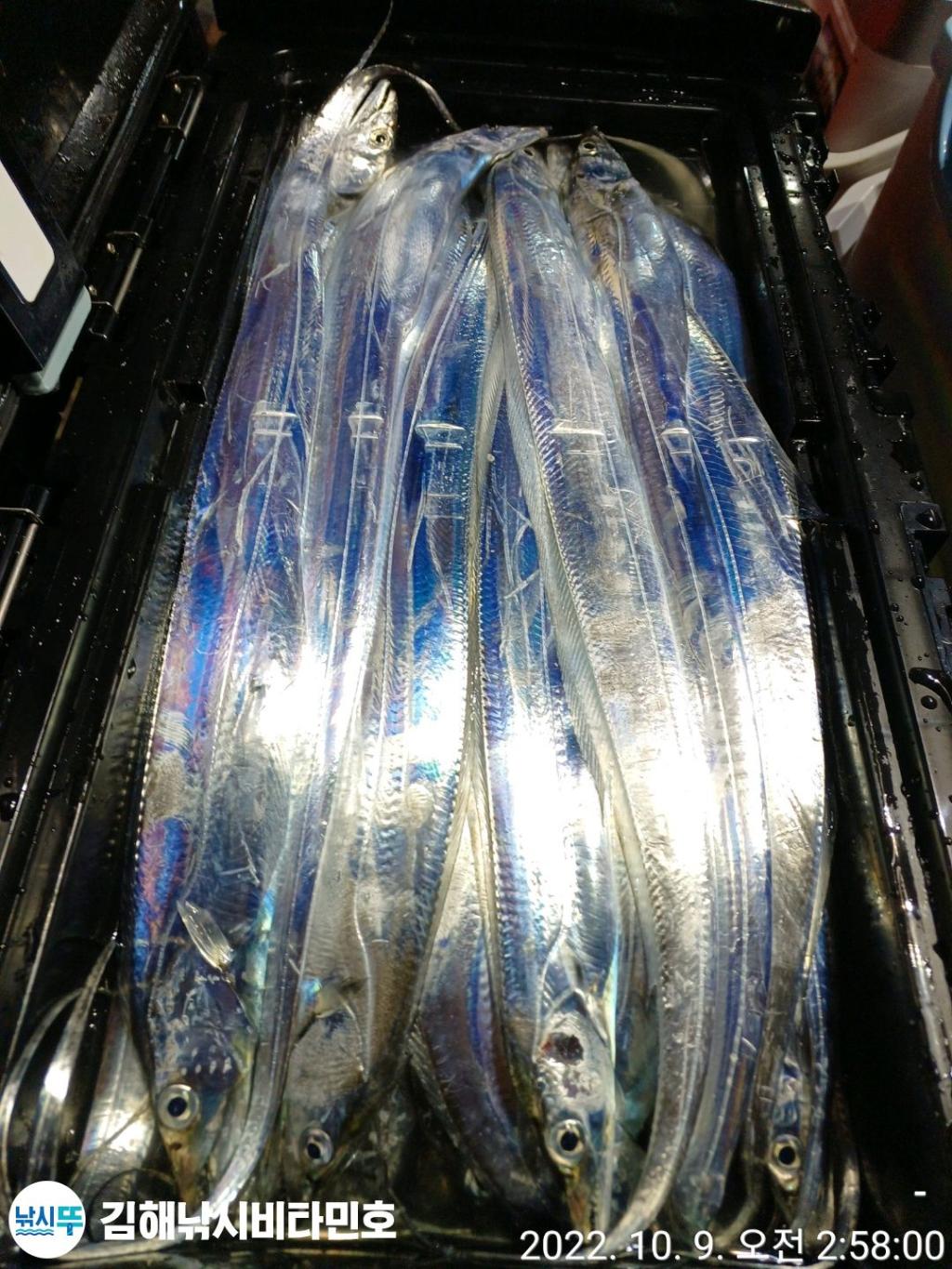 F1850446TP.jpg