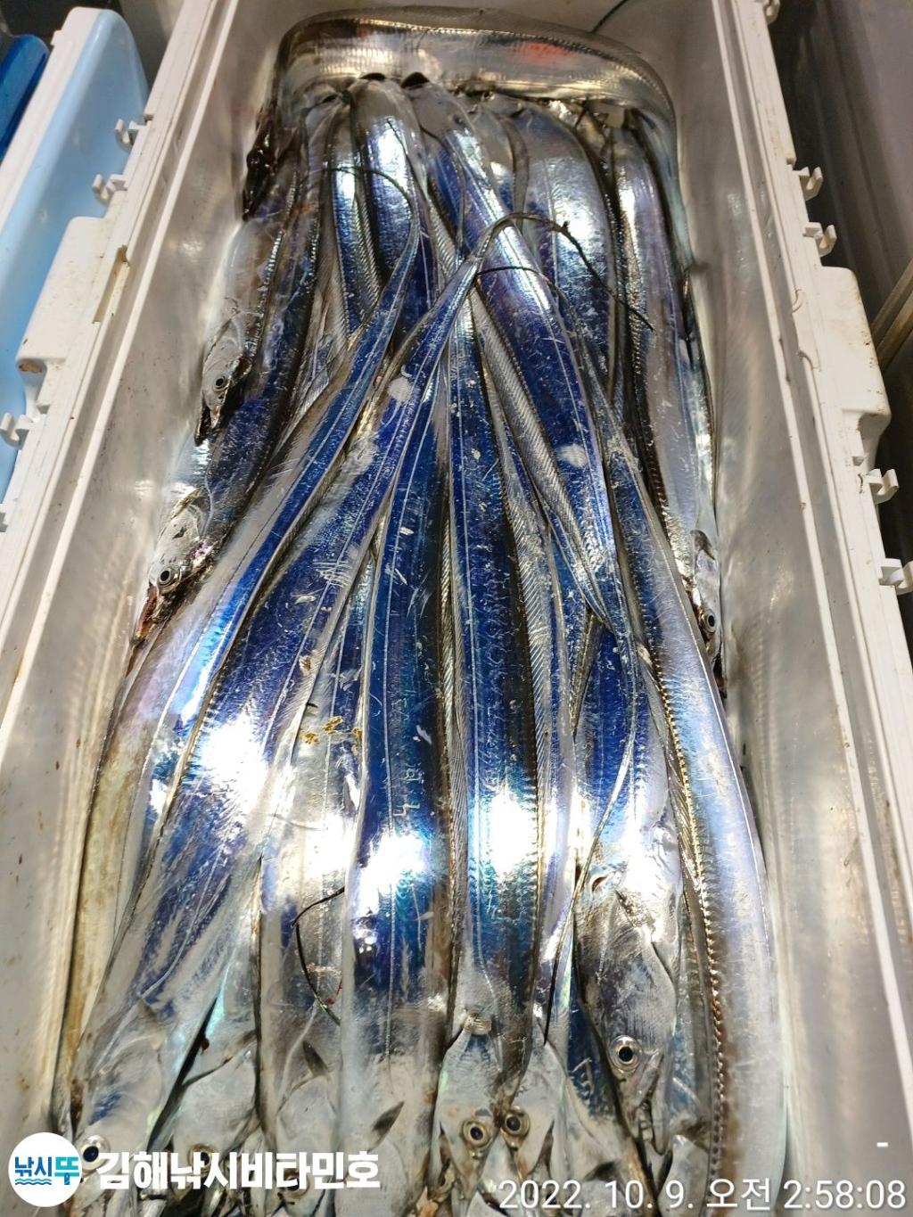 F185044875.jpg