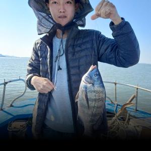 조황, 카고감성돔