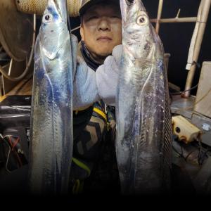 조황, (오늘여유)VIP통영만물호 특대갈치 오늘도 쿨러마다!!