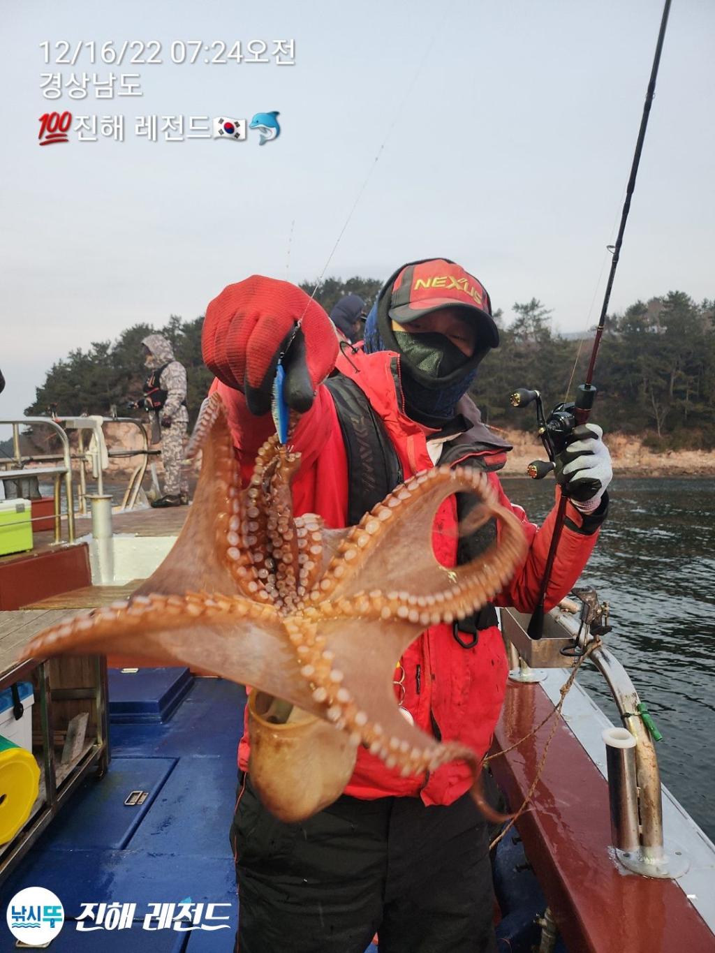 ☆진해레전드☆쭈꾸미사냥은 레전드와함께!