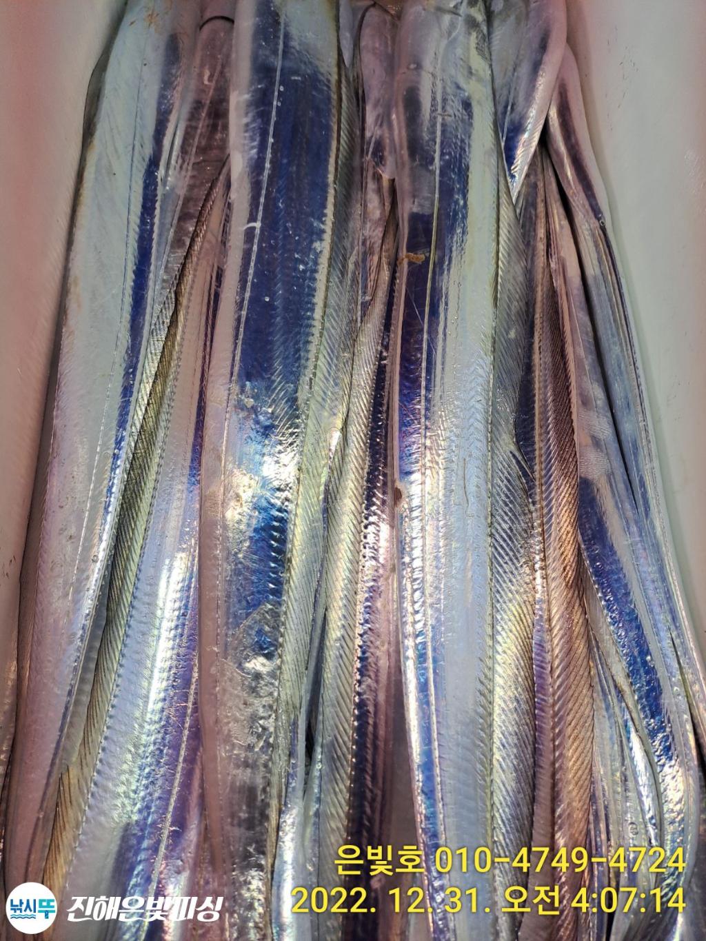 F1951185CF.jpg