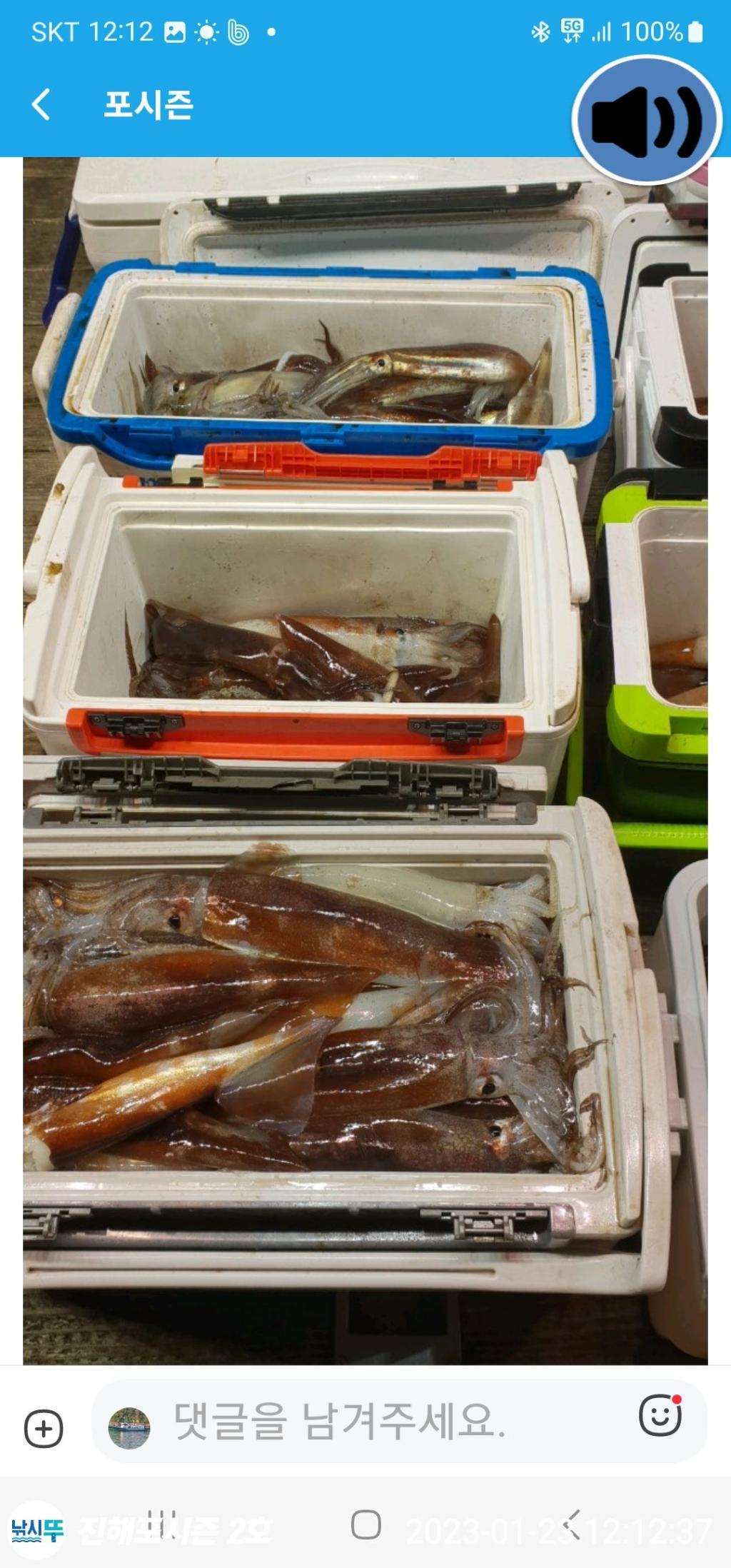 낚시뚜,오징어,진해행암항,진해포시즌 2호,낚시뚜0